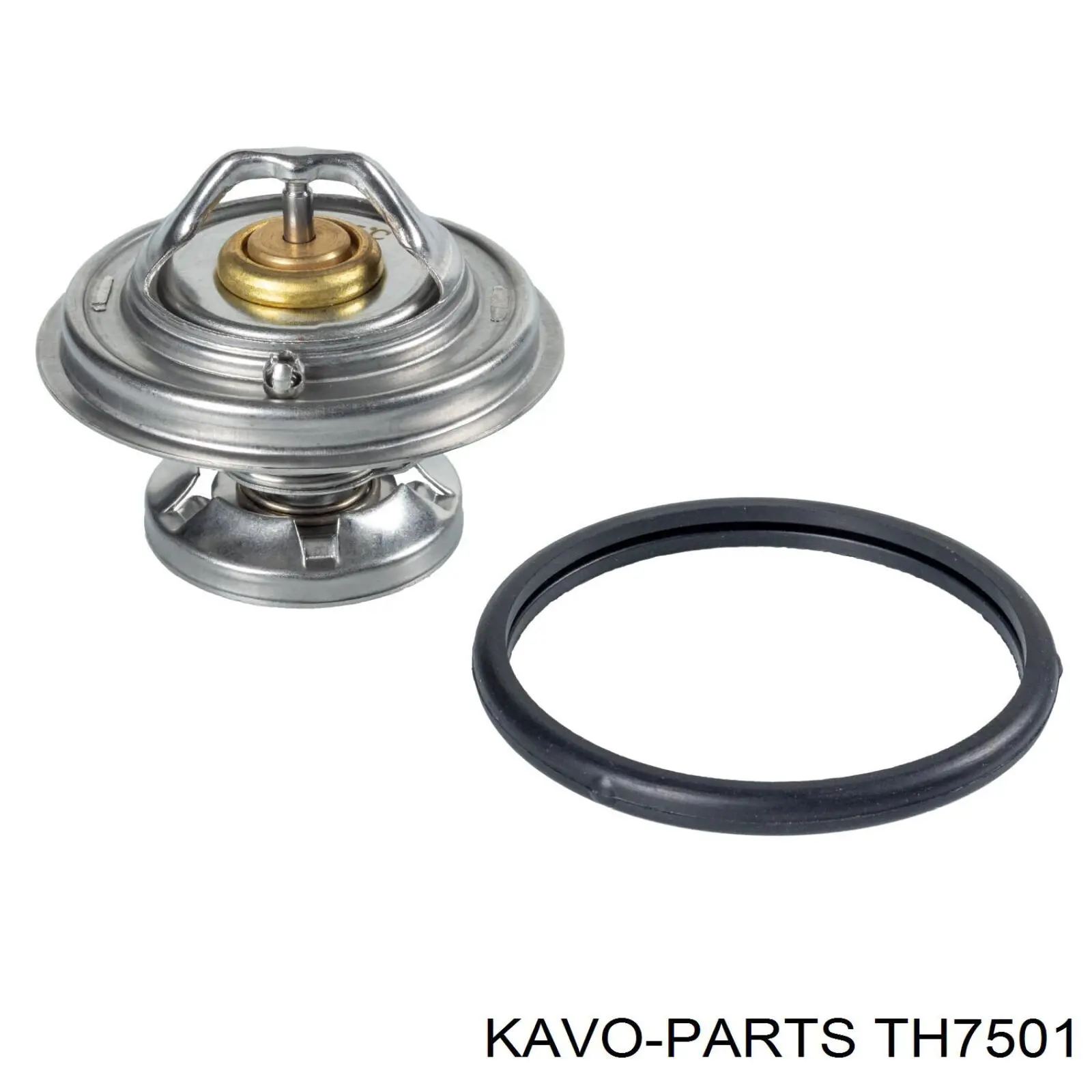 TH7501 Kavo Parts термостат