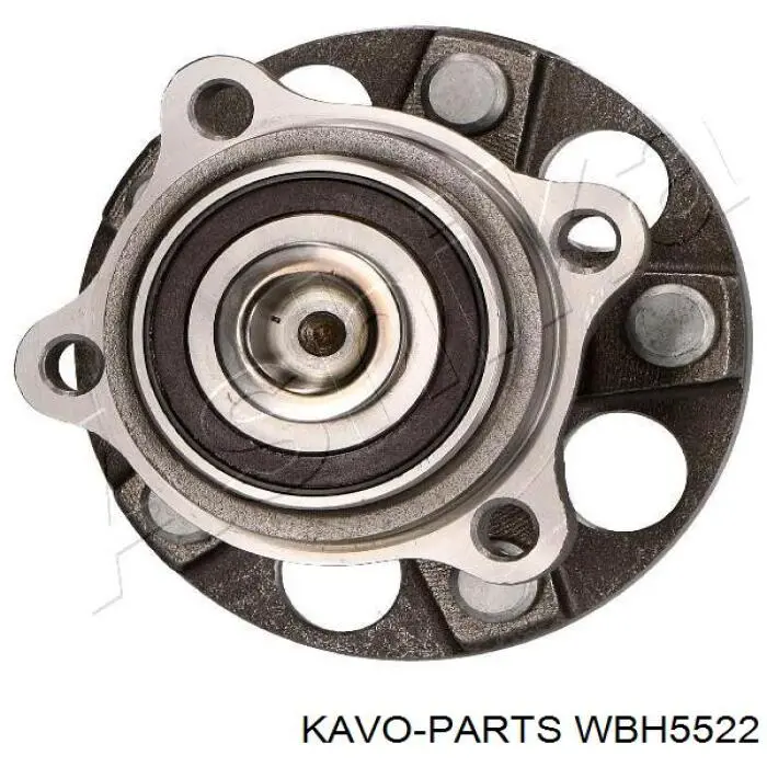 WBH5522 Kavo Parts маточина задня