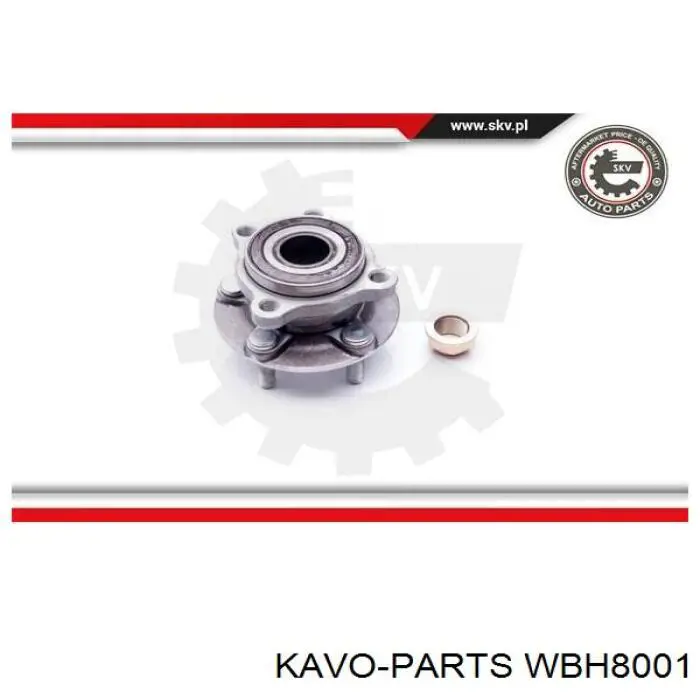 Маточина передня WBH8001 Kavo Parts