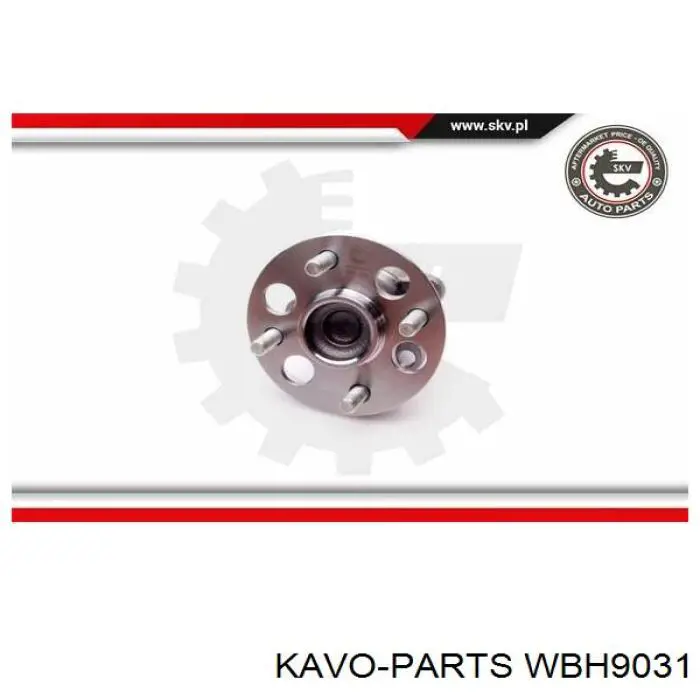 Маточини задніх коліс Kavo Parts WBH9031 ціна, від 47.72 USD