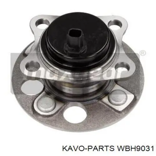 WBH9031 Kavo Parts Маточина задня