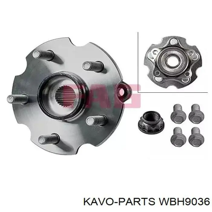 WBH9036 Kavo Parts Маточина задня