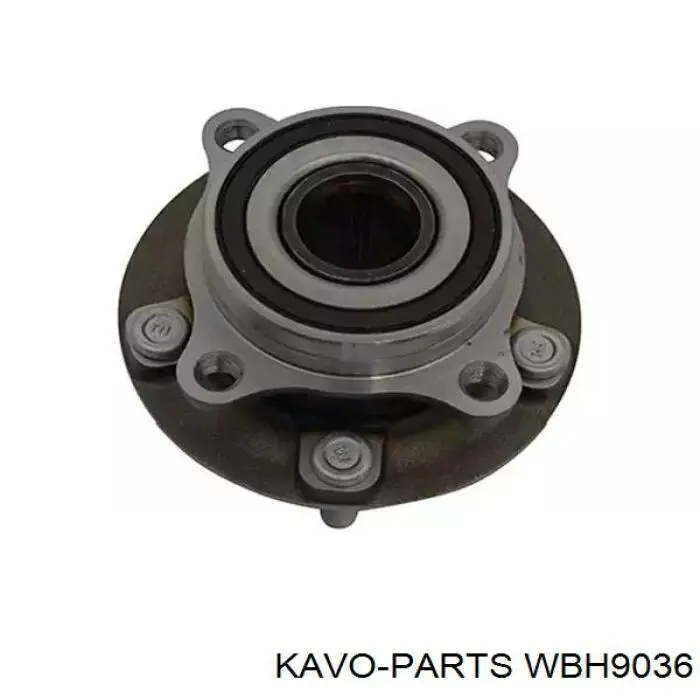 Маточина задня WBH9036 Kavo Parts