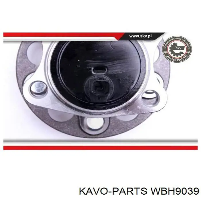 WBH9039 Kavo Parts Маточина задня