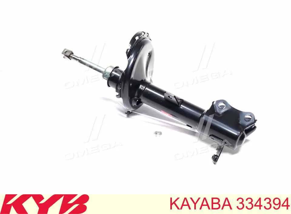 Купити RS317156 Raiso Амортизатор задній, правий