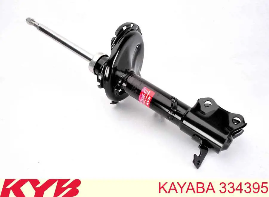 Купити RS317155 Raiso Амортизатор задній, лівий