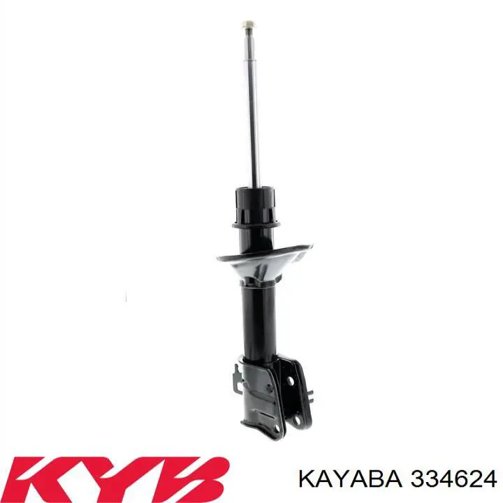 Купити RS310024 Raiso Амортизатор задній, лівий