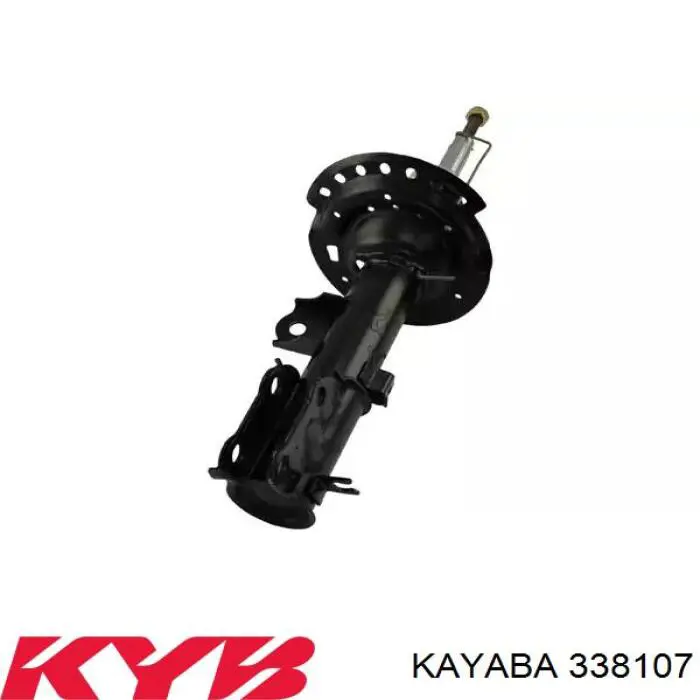 Амортизатора передній лівий RS317717 Raiso