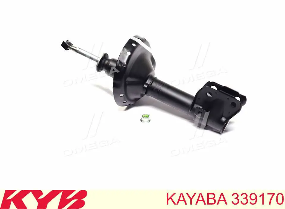 Купити RS316468 Raiso Амортизатора передній лівий