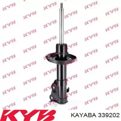 Купити RS314619 Raiso Амортизатор передній, правий