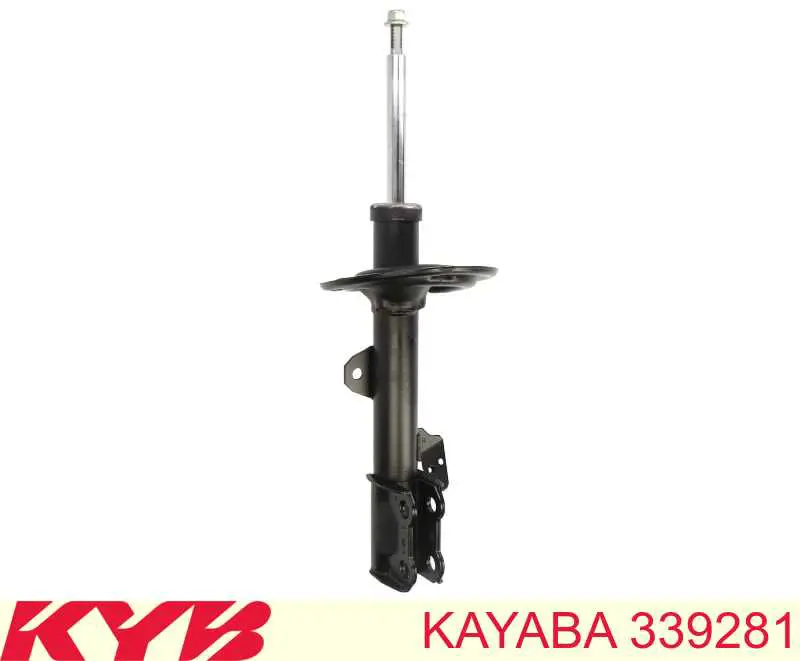 Купити RS339281 Raiso Амортизатор передній, правий