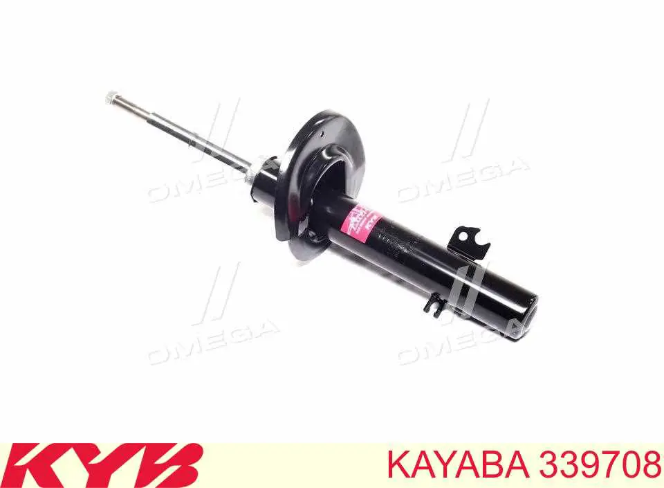 Купити RS313679 Raiso Амортизатора передній лівий