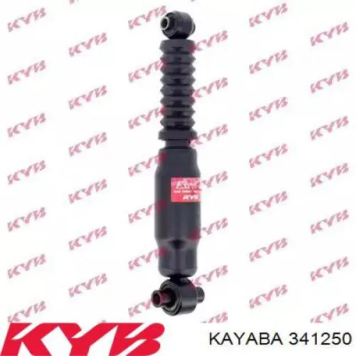 Купити RS313051 Raiso Стійка амортизатора задня