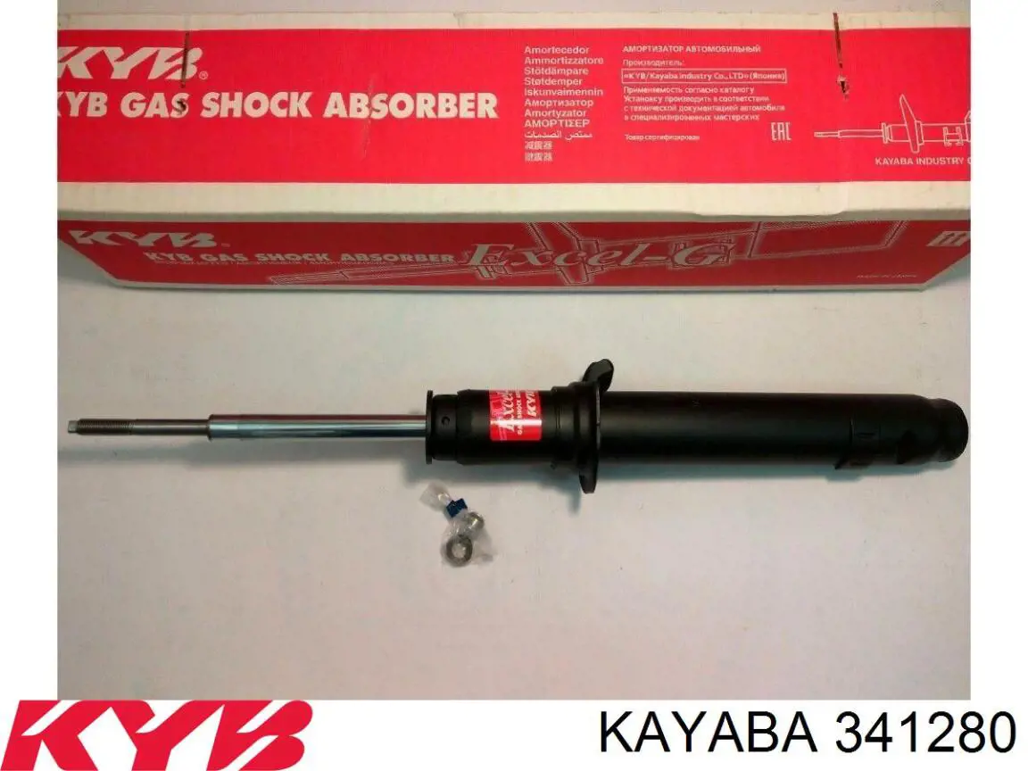 Амортизатор передній RS317271 Raiso