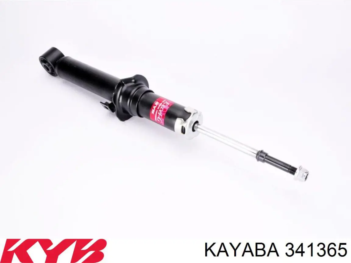Купити RS313523 Raiso Амортизатора передній лівий