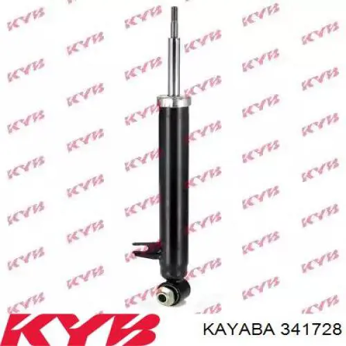 Купити RS315315 Raiso Амортизатор задній, лівий