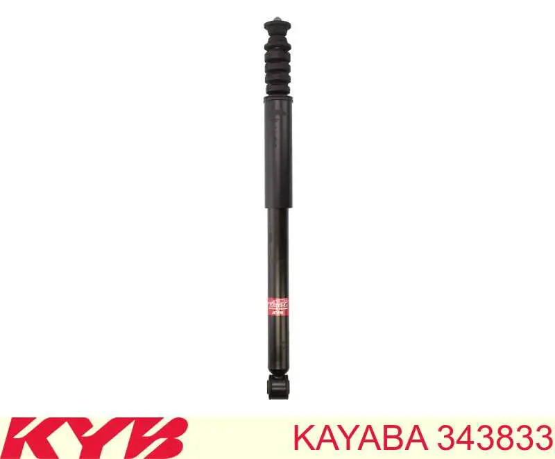 RS316976 Raiso Амортизатори задні