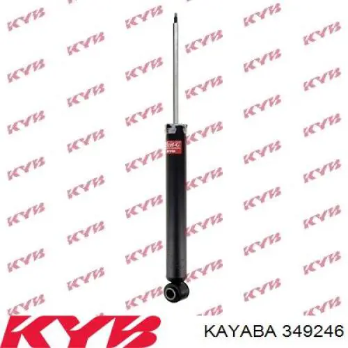 RS349246 Raiso Амортизатори задні