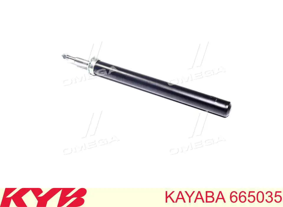 Амортизатор передній RS100321 Raiso