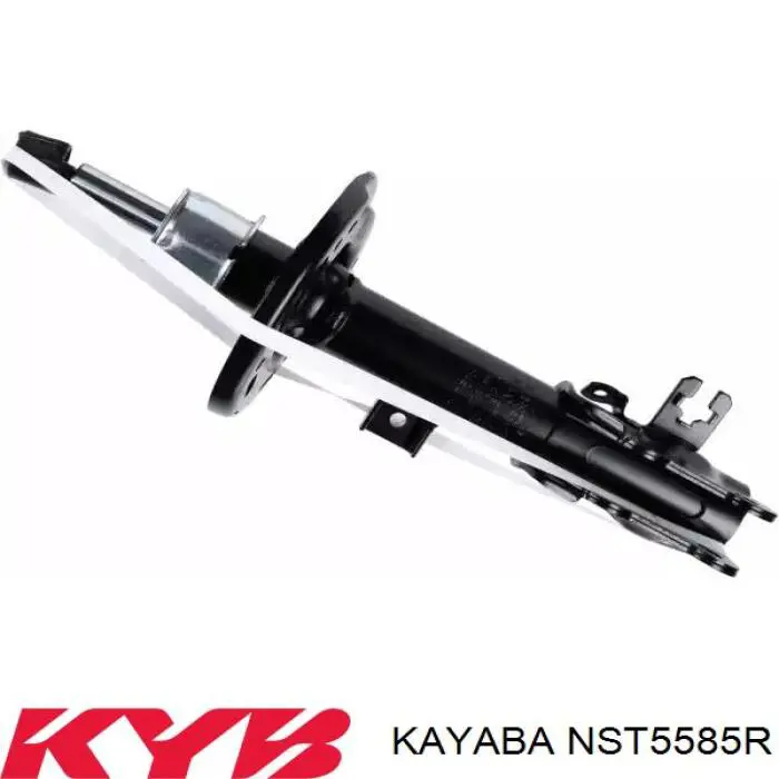 Купити RS317515 Raiso Амортизатор передній, правий
