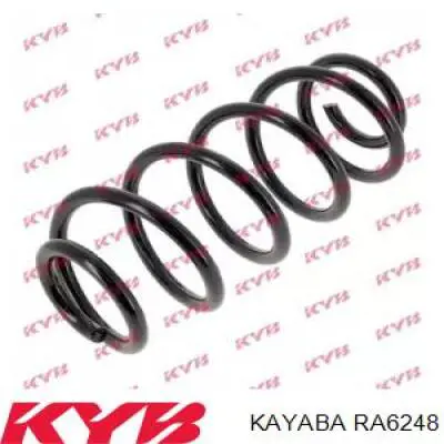 Купити RA6248 Kayaba Задні пружини