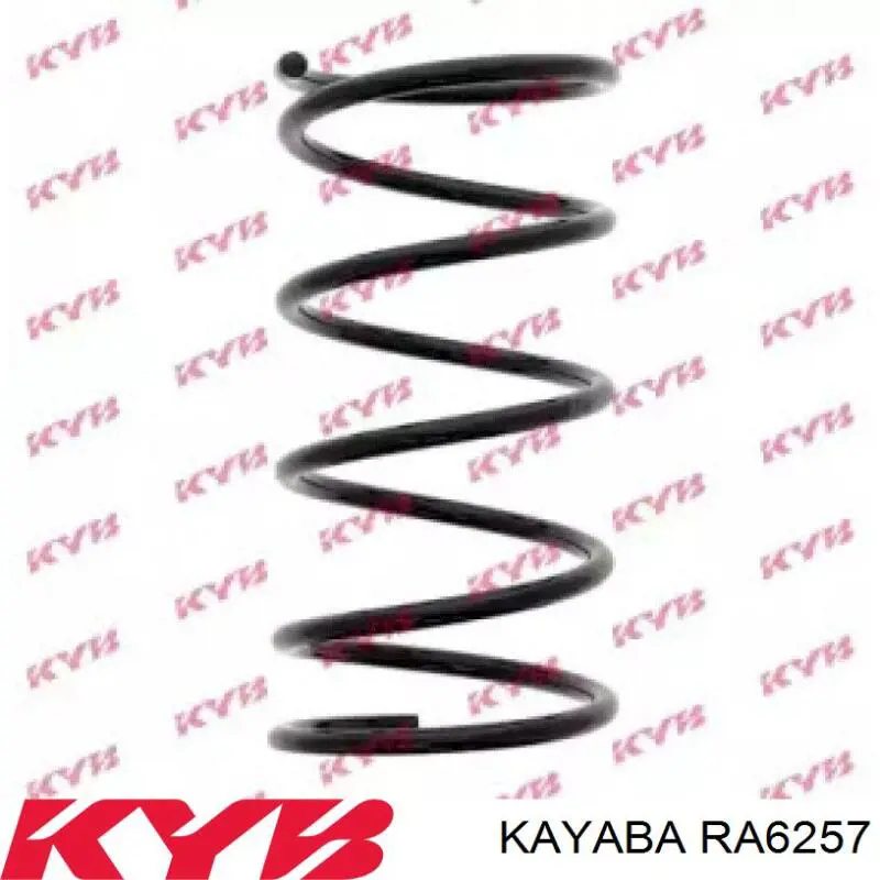 Купити RA6257 Kayaba Задні пружини