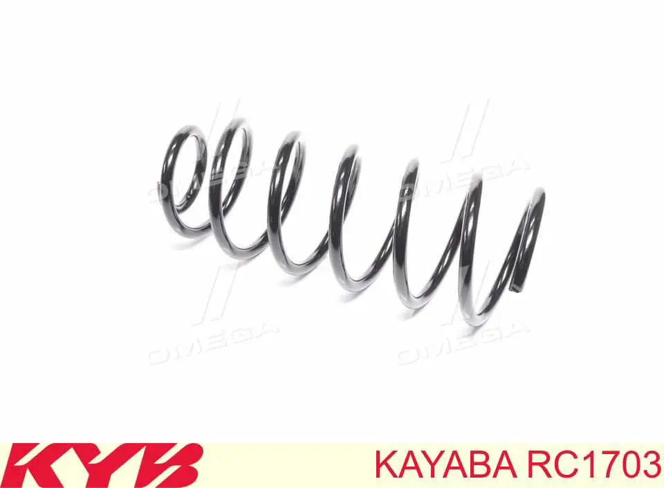 Пружина передня Raiso SF058TP ціна, від 16.64 USD