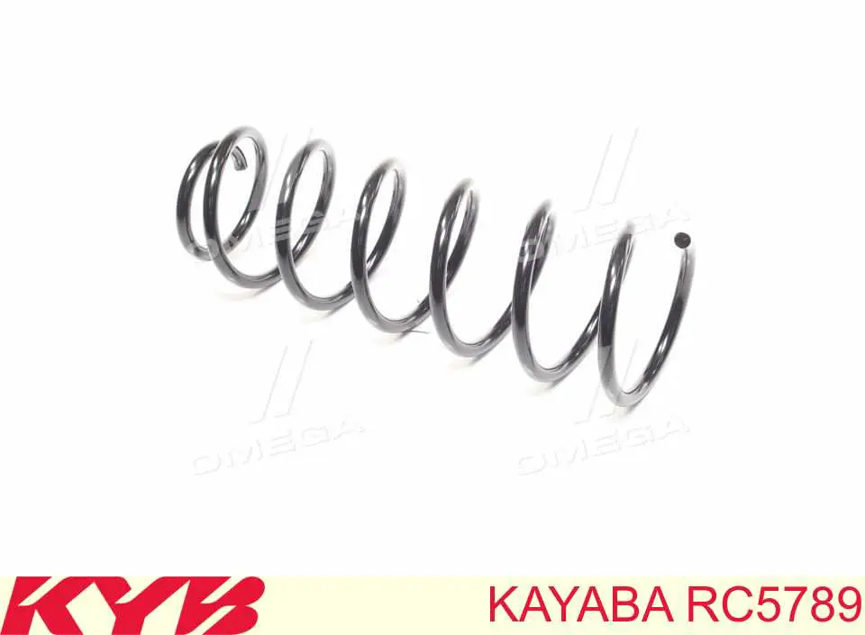 Купити SR019TP Raiso Задні пружини
