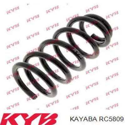 Купити C4H91042H OBK Задні пружини