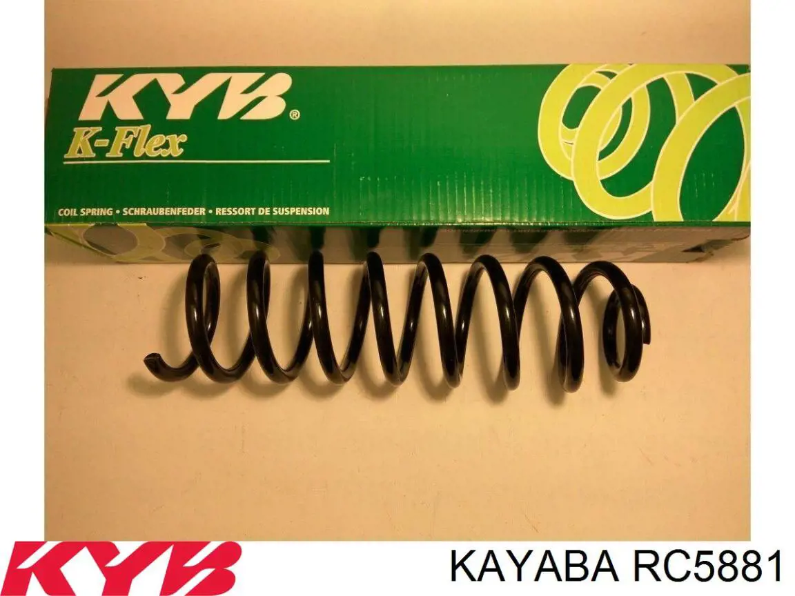 Купити SR245TP Raiso Задні пружини