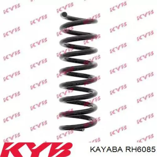 Купити SR063TP Raiso Задні пружини