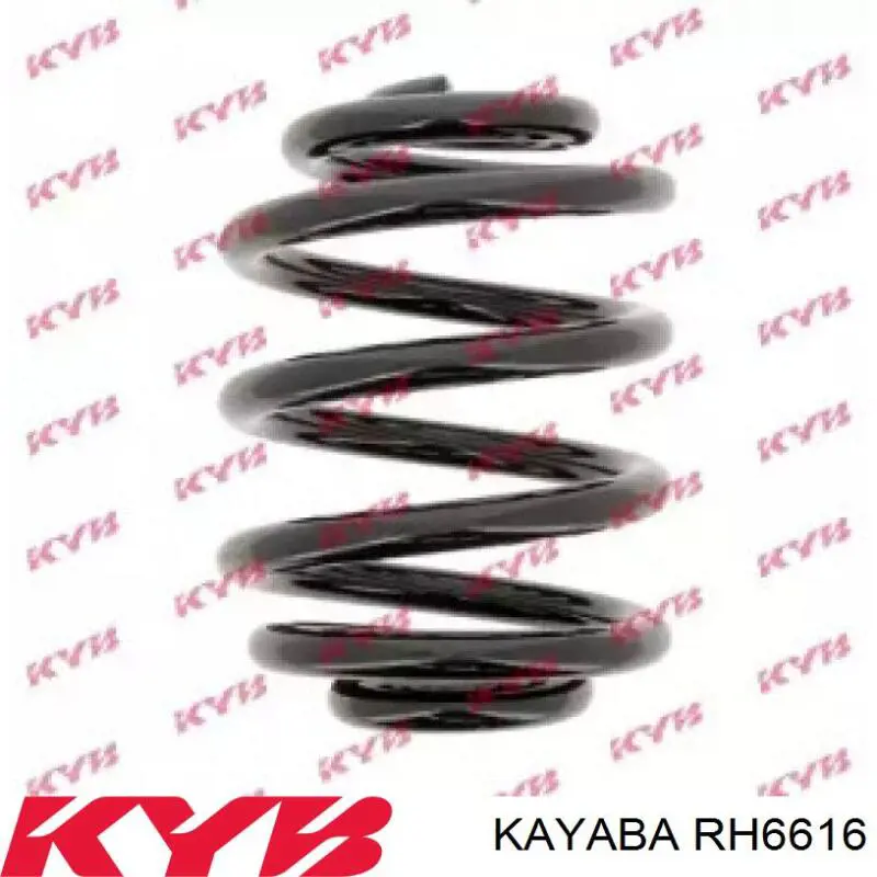 Купити 4256914 Lesjofors Задні пружини