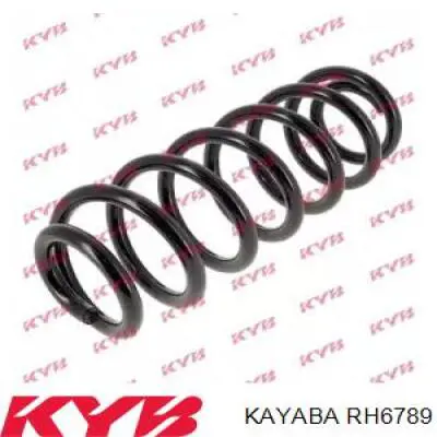 Купити RH6789 Kayaba Задні пружини