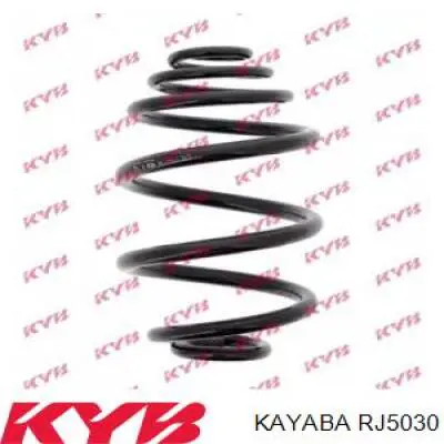 Купити RJ5030 Kayaba Задні пружини