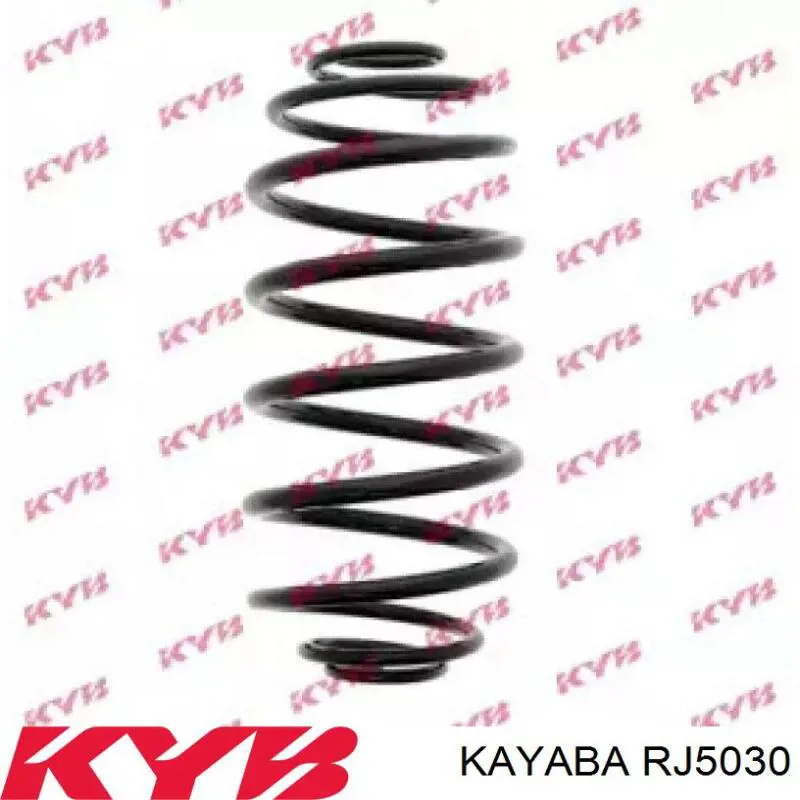Купити RJ5030 Kayaba Задні пружини