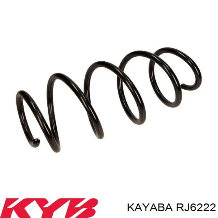 Купити RJ6222 Kayaba Задні пружини