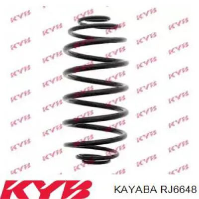Пружина задня Raiso SR074TP ціна, від 35.96 USD