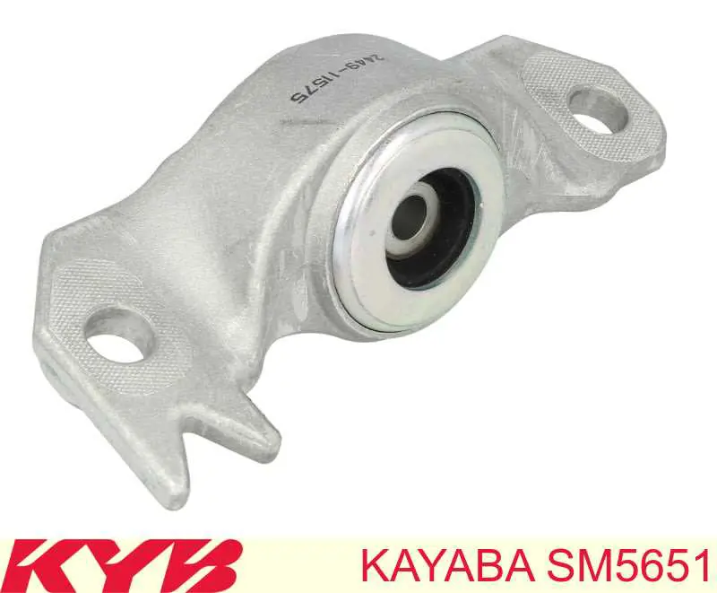 RC02684 Raiso Подушка амортизатора заднього, правого