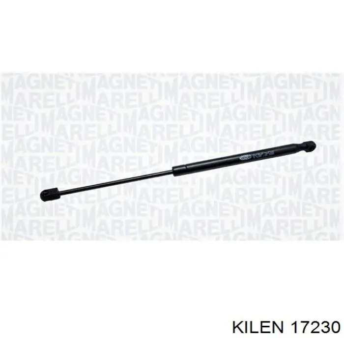 37172312 Bilstein Пружина амортизатора передняя