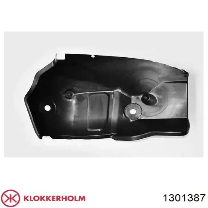 Підкрилок передній лівий 6001549740 Renault (RVI)