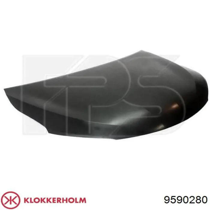Купити VW20017A TYG Капот