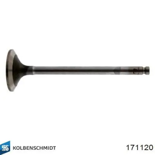 171120 Kolbenschmidt 