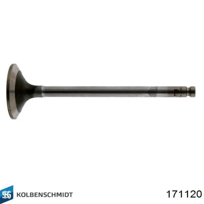 Купити 171120 Kolbenschmidt 