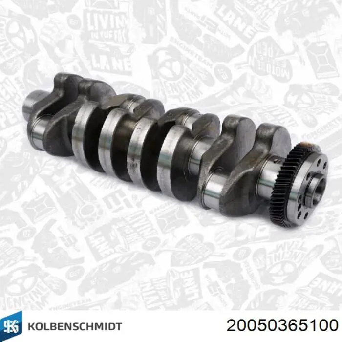Купити 20050365100 Kolbenschmidt Колінвал