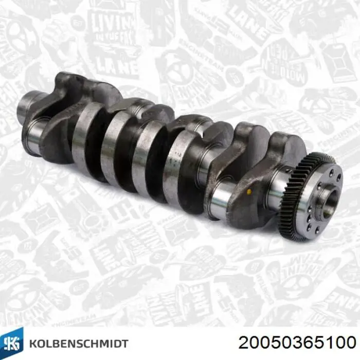 Вал колінчастий і маховик Kolbenschmidt 20050365100 ціна, від 425.78 USD