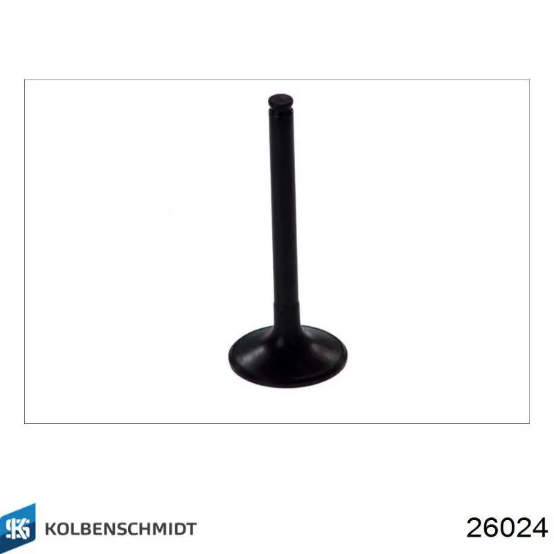 Клапан впускний Kolbenschmidt 26024 ціна, від 5.85 USD