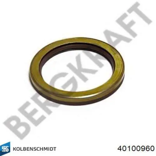 40100960 Kolbenschmidt Комплект поршень + гільза