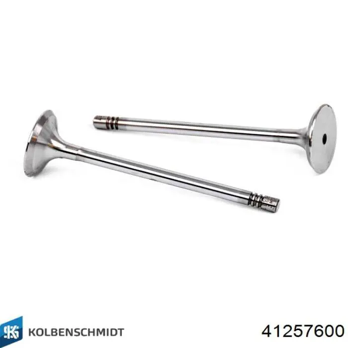 41257600 Kolbenschmidt Поршня на 1 циліндр, STD