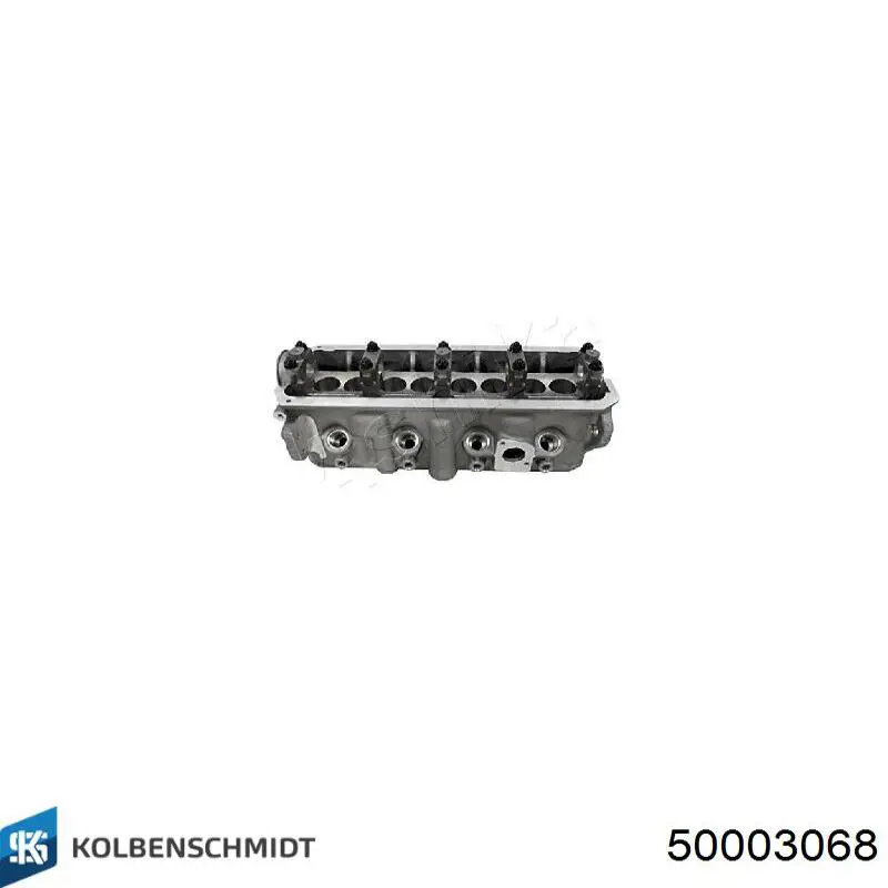 50003068 Kolbenschmidt Головка циліндрів