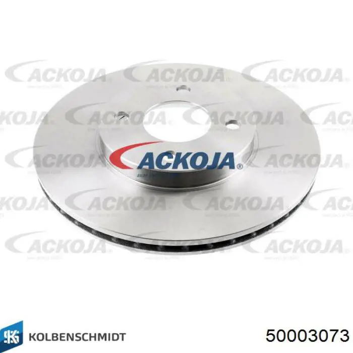 50003073 Kolbenschmidt Головка циліндрів
